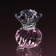 A sweet and sexy fragrance based in the concept of that instant in which a woman sparkles out like Cinderella. \n\nNight Jewel Eau de Toilette