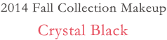 2014 Fall Collection Makeup Crystal Black