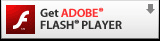 FLASH Player Download
