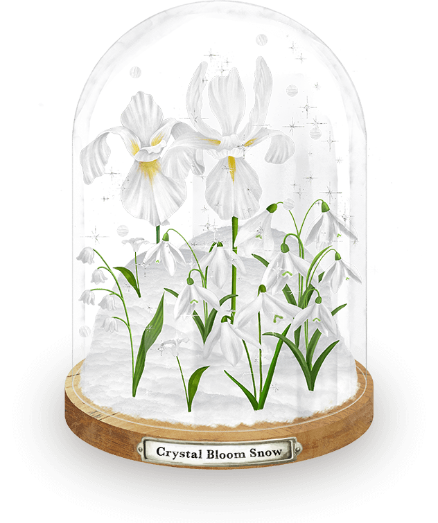 イラスト：ドームに入ったCrystal Bloom Snowをイメージした花