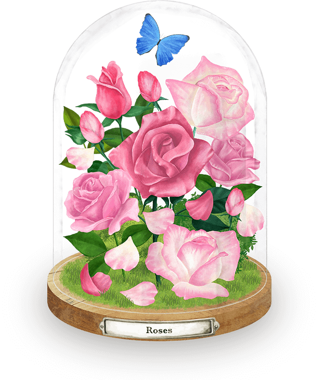イラスト：ドームに入ったRosesをイメージした花