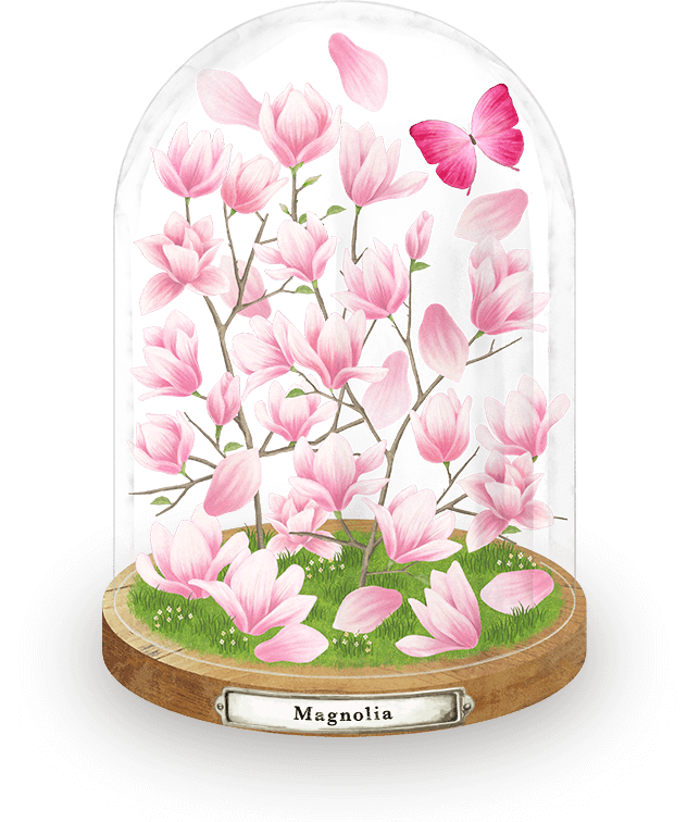 イラスト：ドームに入ったMagnoliaをイメージした花
