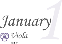 January Viola