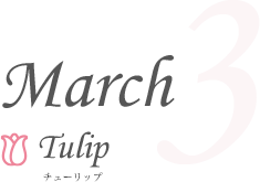 March Turip